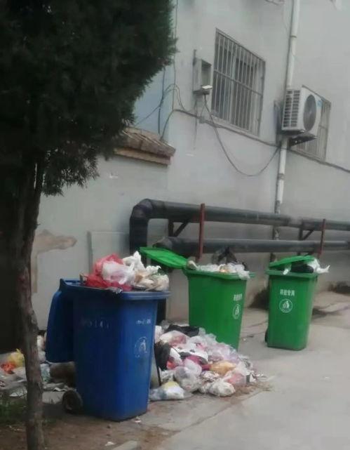 临汾小区最新爆料,揭秘神秘事件背后的真相 第3张 临汾小区最新爆料,揭秘神秘事件背后的真相 第3张