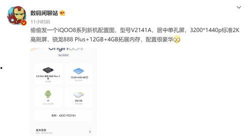 爆料博主熊猫视频大全集,揭秘网红博主幕后故事  第3张